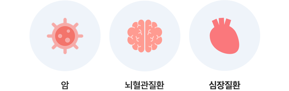 undefined 3대 질환(암/뇌혈관질환/허혈성심장질환) 아이콘