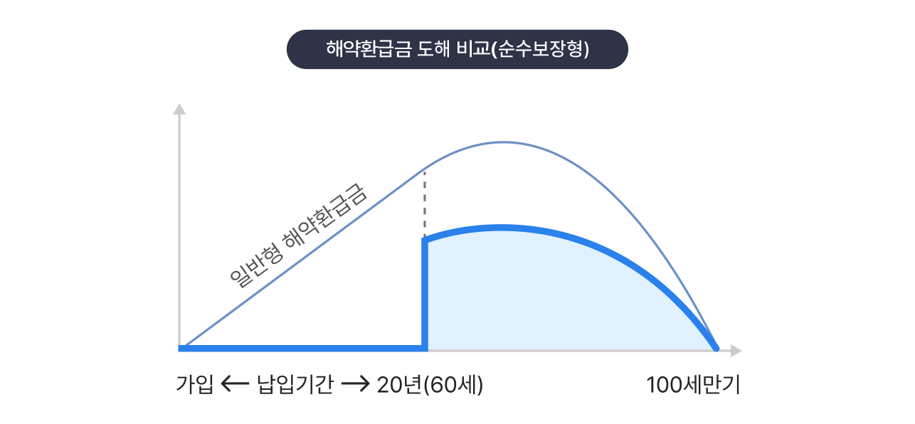 해약환급금 도해 비교(순수보장형)표