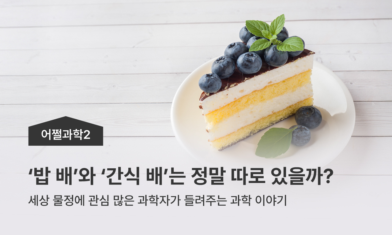 어쩔과학2 | 밥배와 간식배는 정말 따로 있을까? | 세상 물정에 관심 많은 과학자가 들려주는 과학 이야기