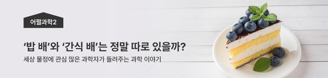 어쩔과학2 | 밥배와 간식배는 정말 따로 있을까? | 세상 물정에 관심 많은 과학자가 들려주는 과학 이야기