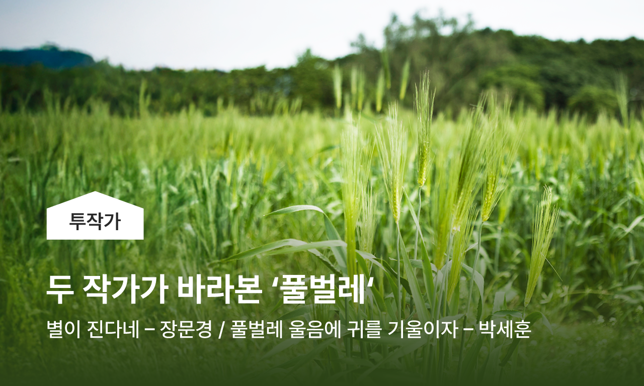 두 작가가 바라본 열세 번째 키워드, 두작가가 바라본 풀벌레