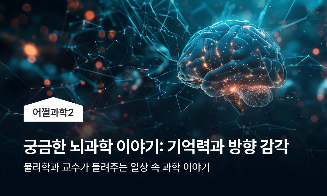 궁금한 뇌과학 이야기: 기억력부터 방향 감각까지