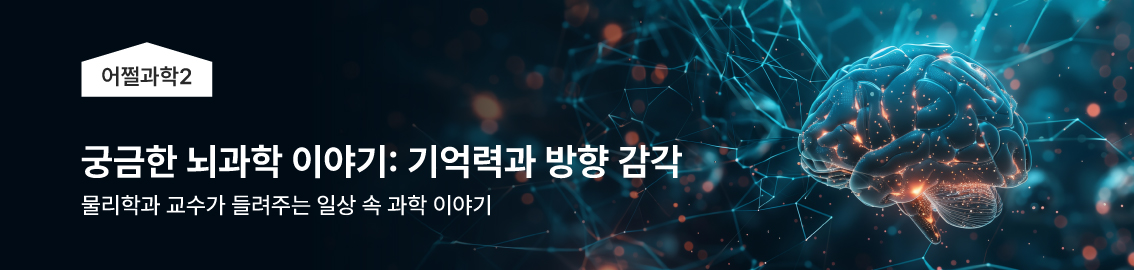 궁금한 뇌과학 이야기: 기억력부터 방향 감각까지