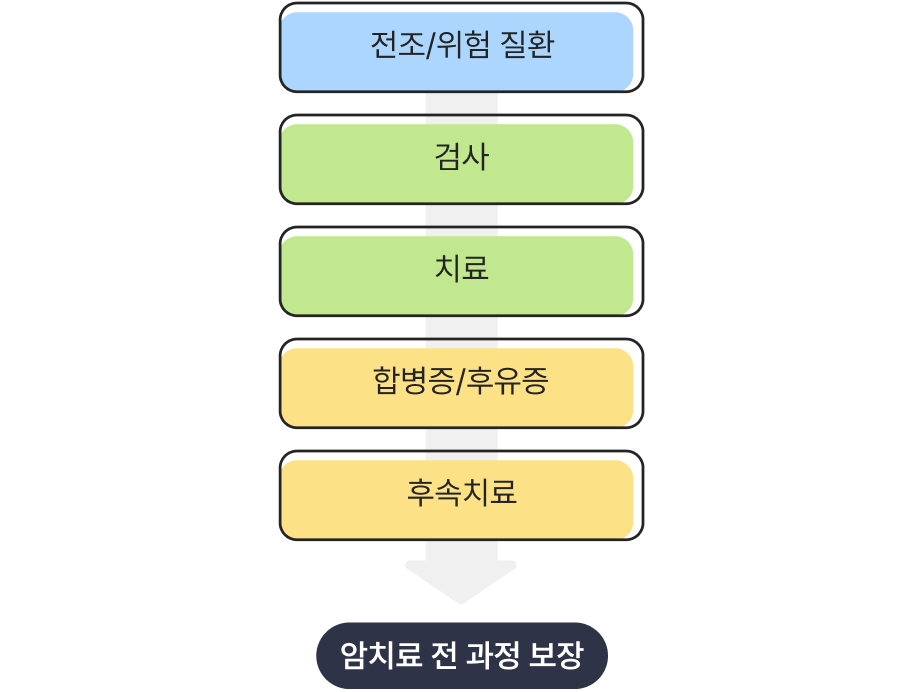 전조/위험질환, 검사, 치료, 합병증/후유증, 후속치료 암치료 전 과정 보장