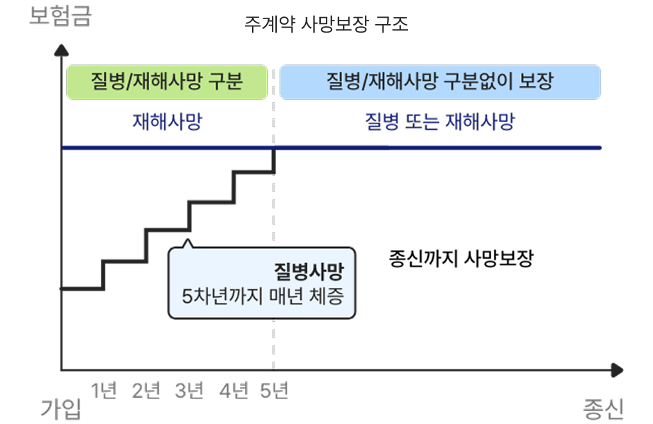 주계약 사망보장 구조를 설명한 그래프. 가입 후 5년까지는 질병사망 보험금이 매년 체증하여 재해사망과 구분되어 보장되고, 이후에는 질병과 재해 구분없이 동일한 보험금으로 종신까지 사망을 보장함