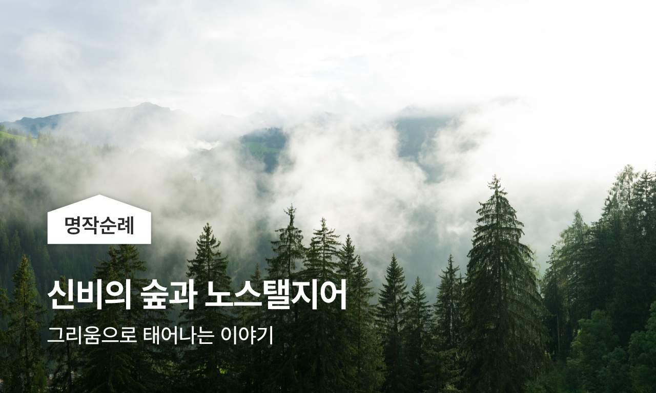 명작 순례, 신비의 숲과 노스탤지어