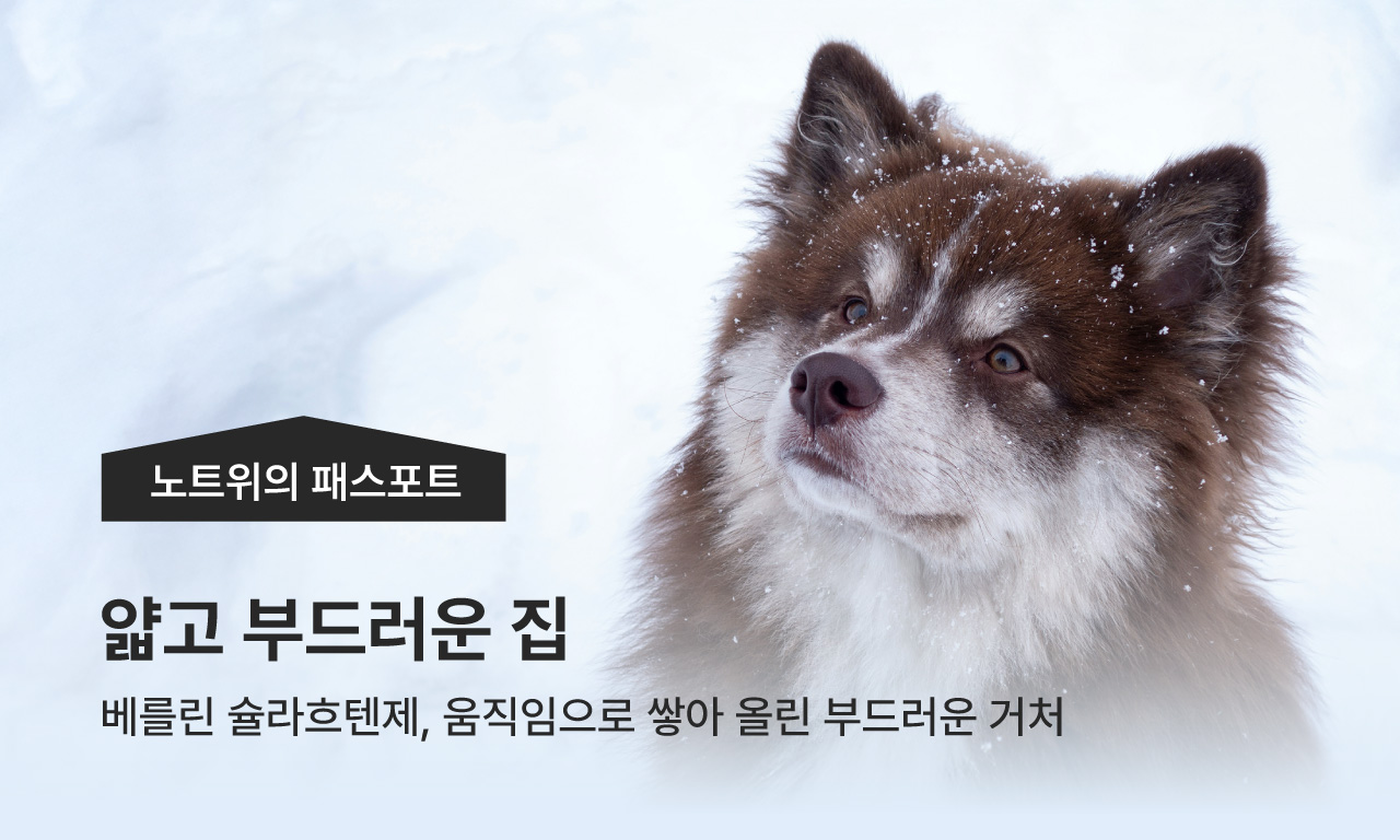 노트위의 패스포트 / 얇고 부드러운 집