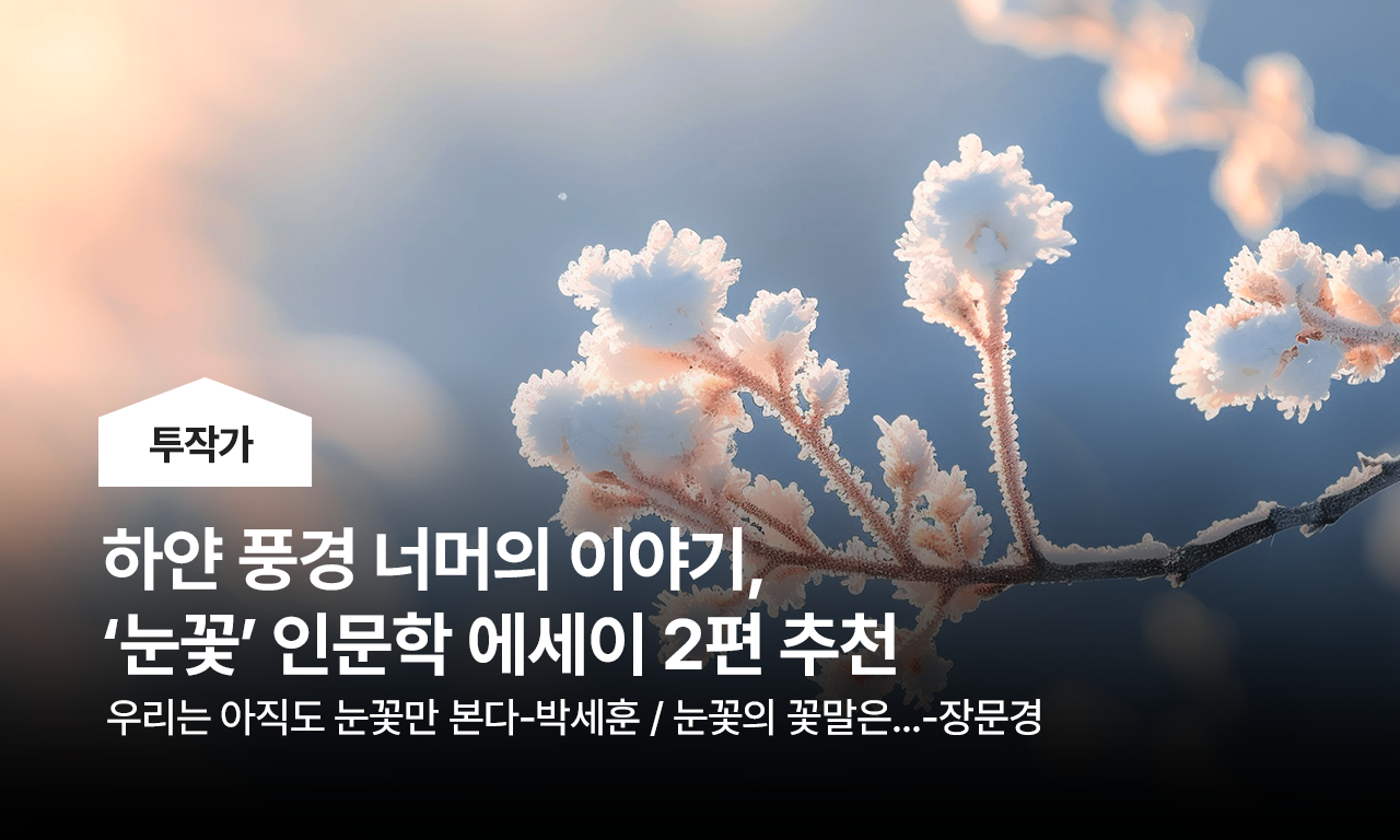 투작가 - 눈꽃