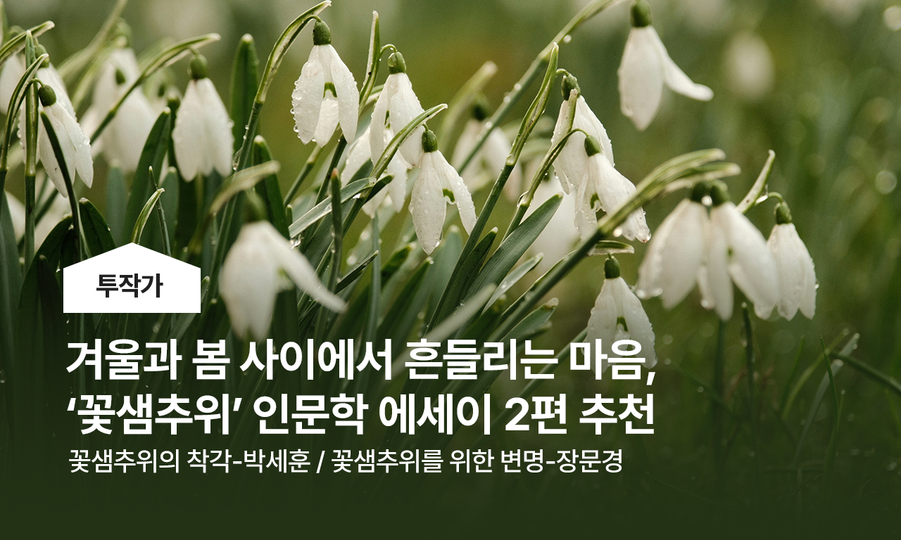 겨울과 봄 사이에서 흔들리는 마음, 꽃샘추위, 투작가