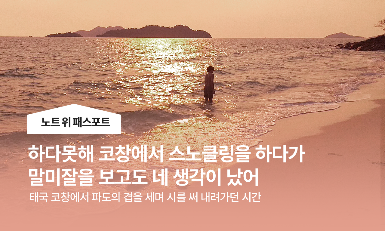 라파엘로의 『아테네 학당』 속, 숨겨진 유일한 여자의 정체