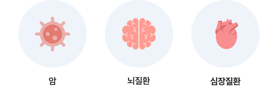 암,뇌질환,심장질환 아이콘이미지